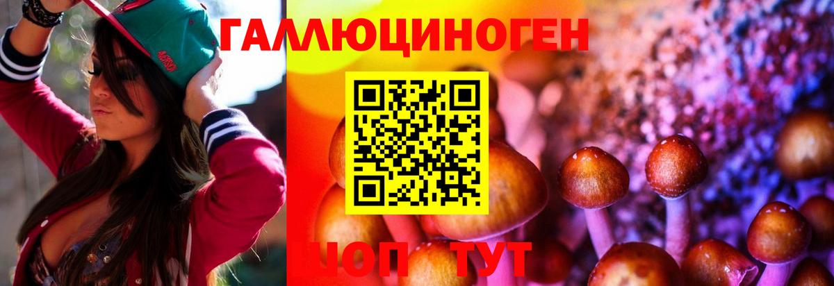 Галлюциногенные грибы GOLDEN TEACHER Качканар